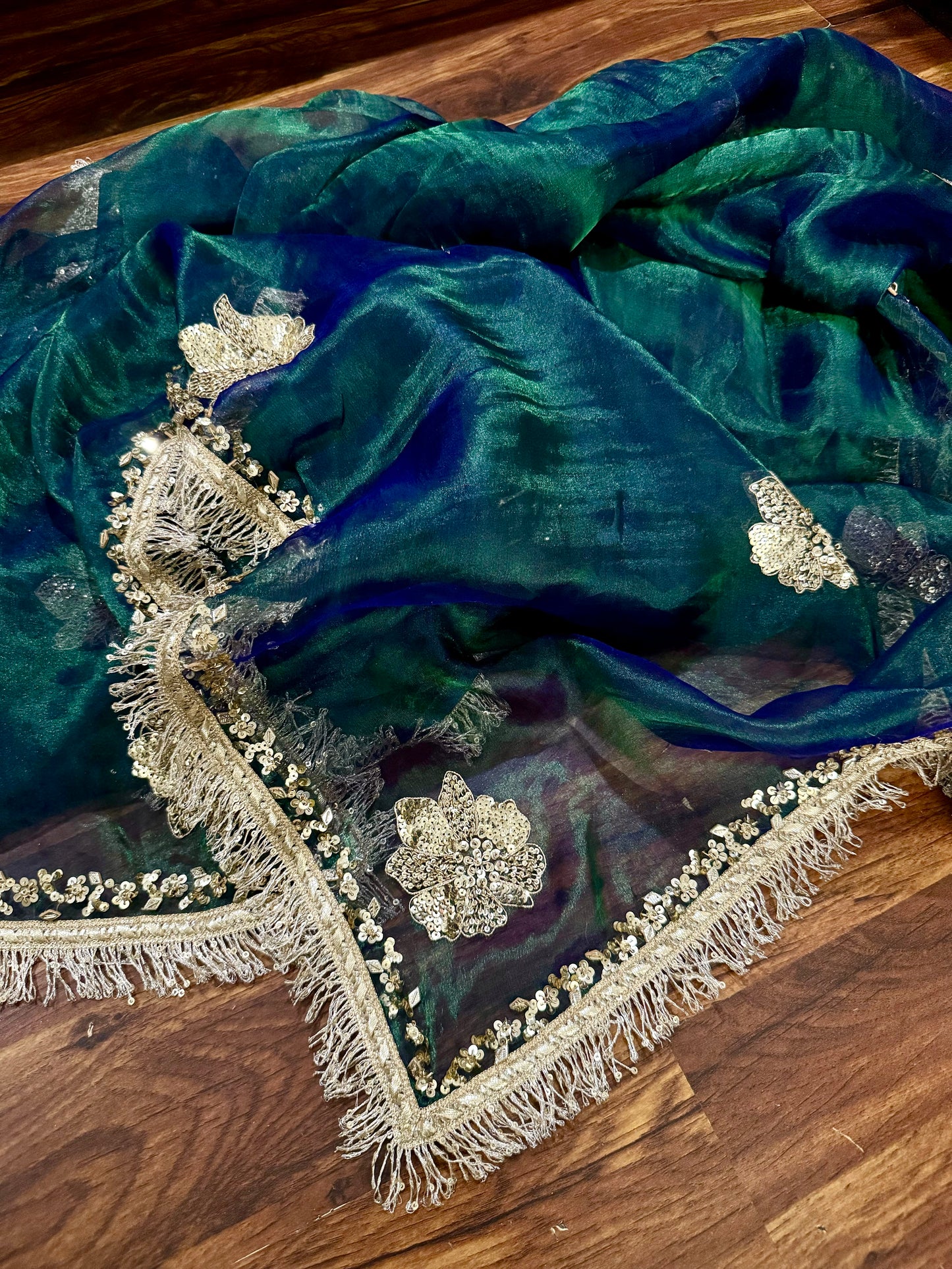 Green Blue Pure Tissue Silk Hand work Banarasi Saree