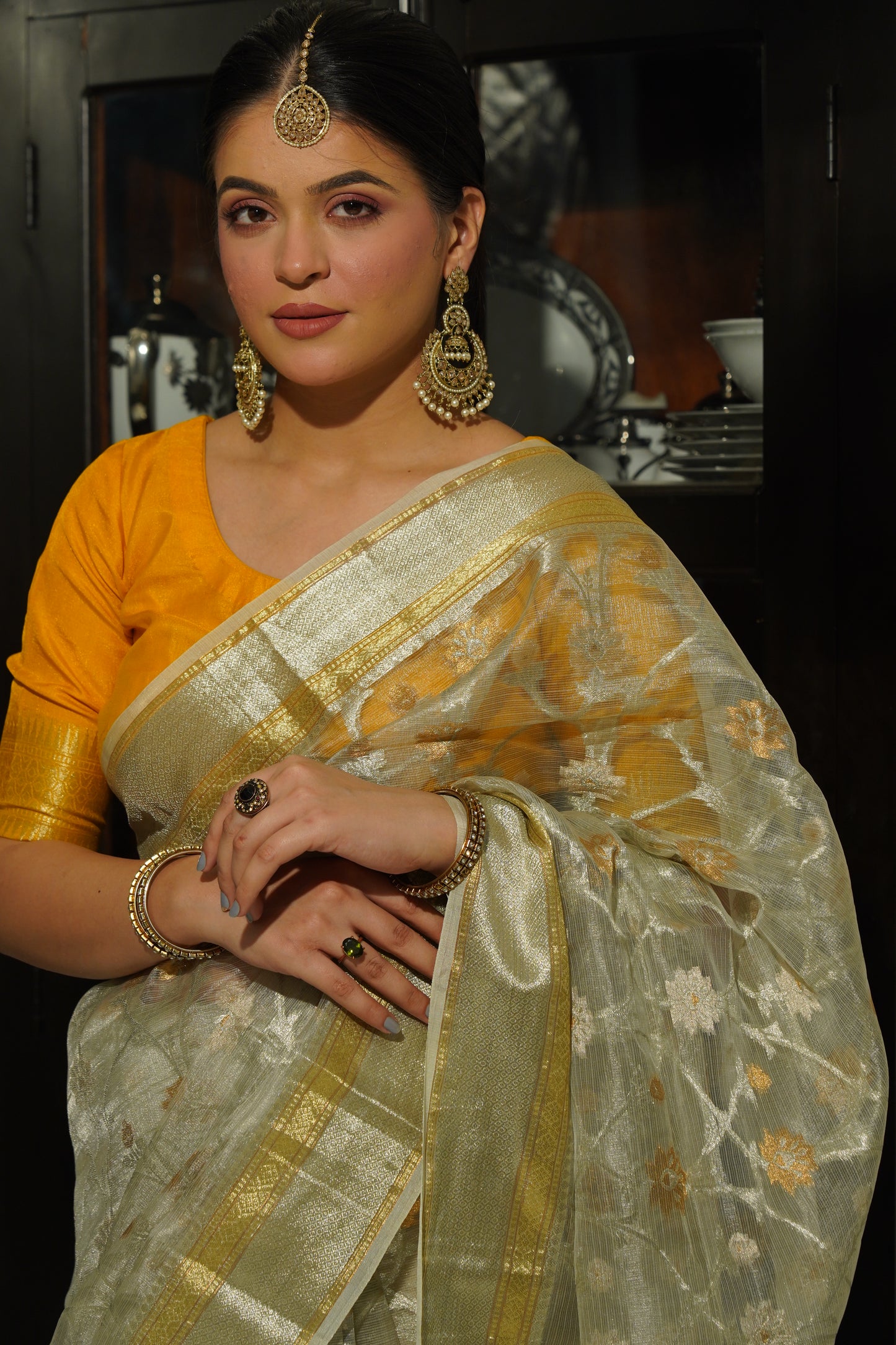 Silver Tissue Jaal design Handwoven Banarasi Saree