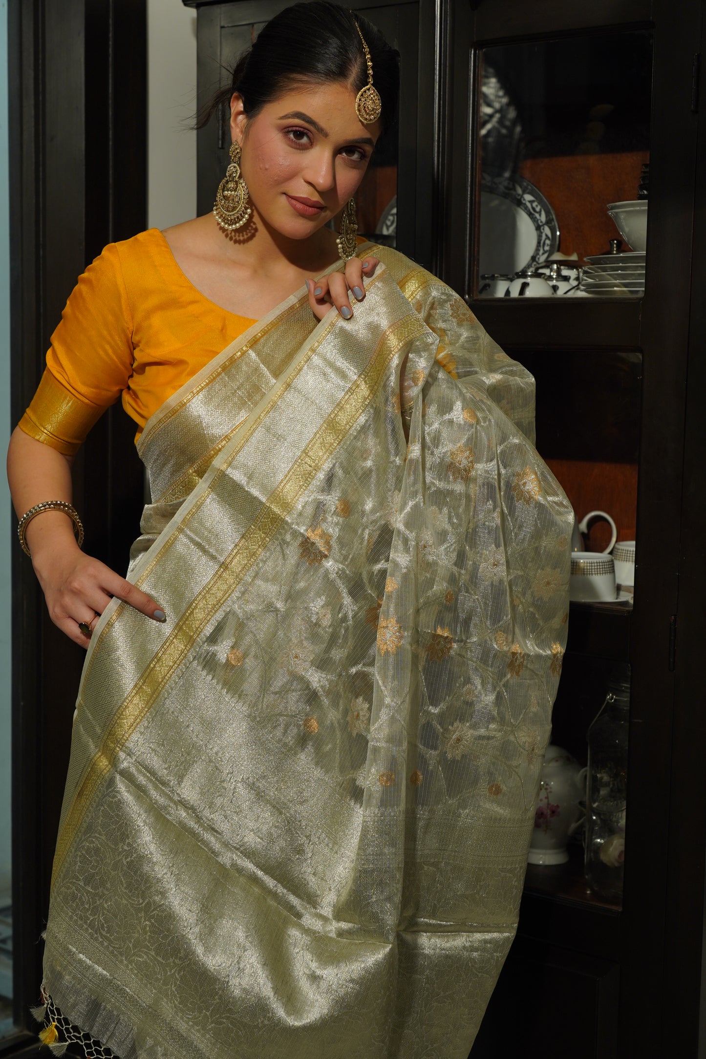 Silver Tissue Jaal design Handwoven Banarasi Saree
