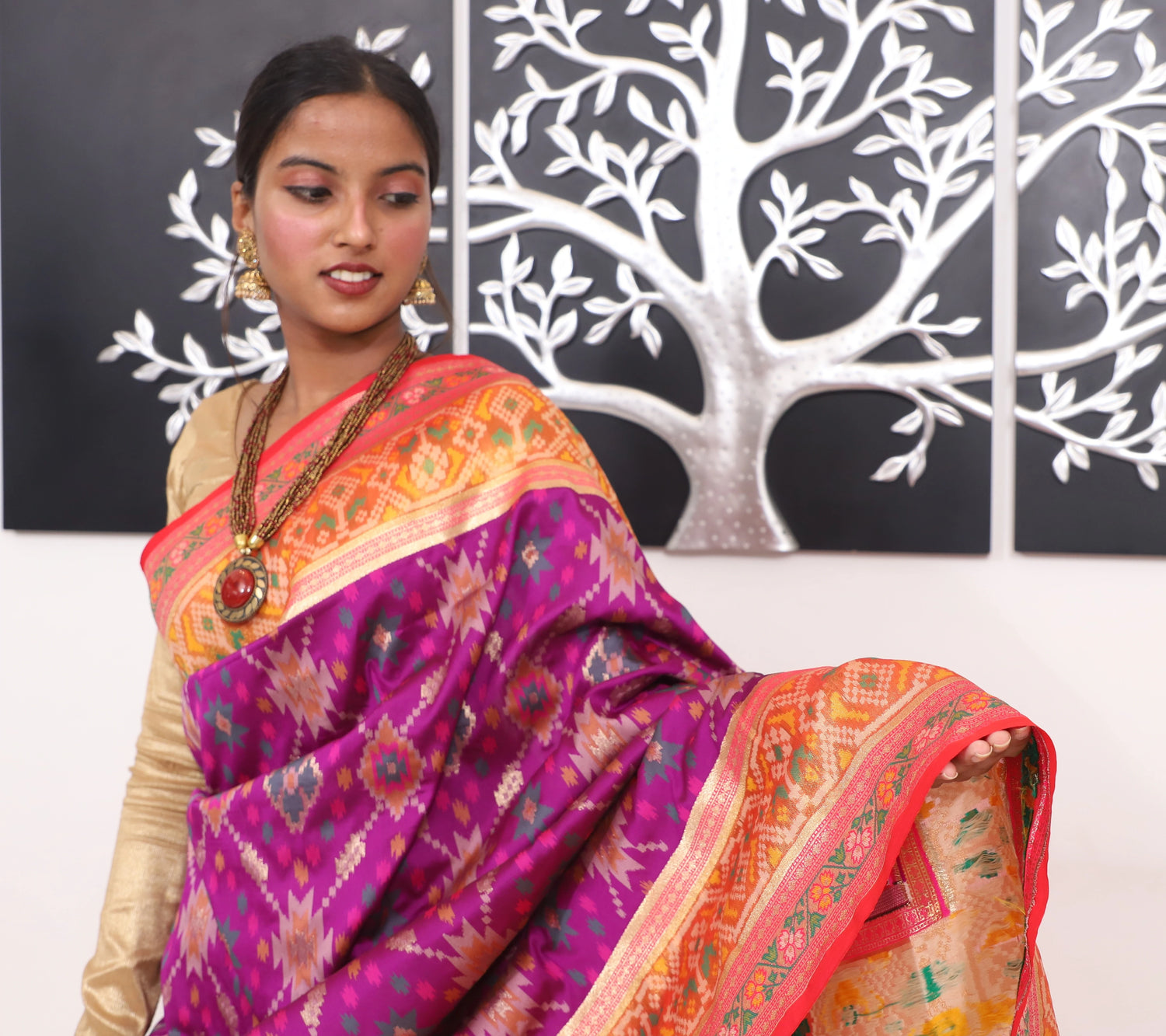 Patola Banarasi Saree