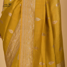 Load image into Gallery viewer, Light and Dark Shaded Olive Mustard Pure Katan Silk Handloom Banarasi Saree
