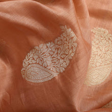 Load image into Gallery viewer, Light Brown Pure Silk Banarasi Saree
