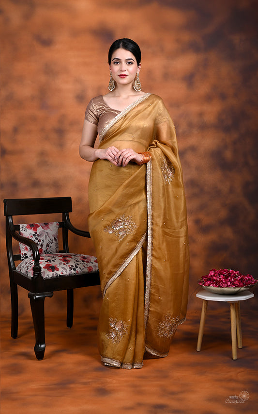 Walnut Brown Kora  Silk Hand work Banarasi Saree