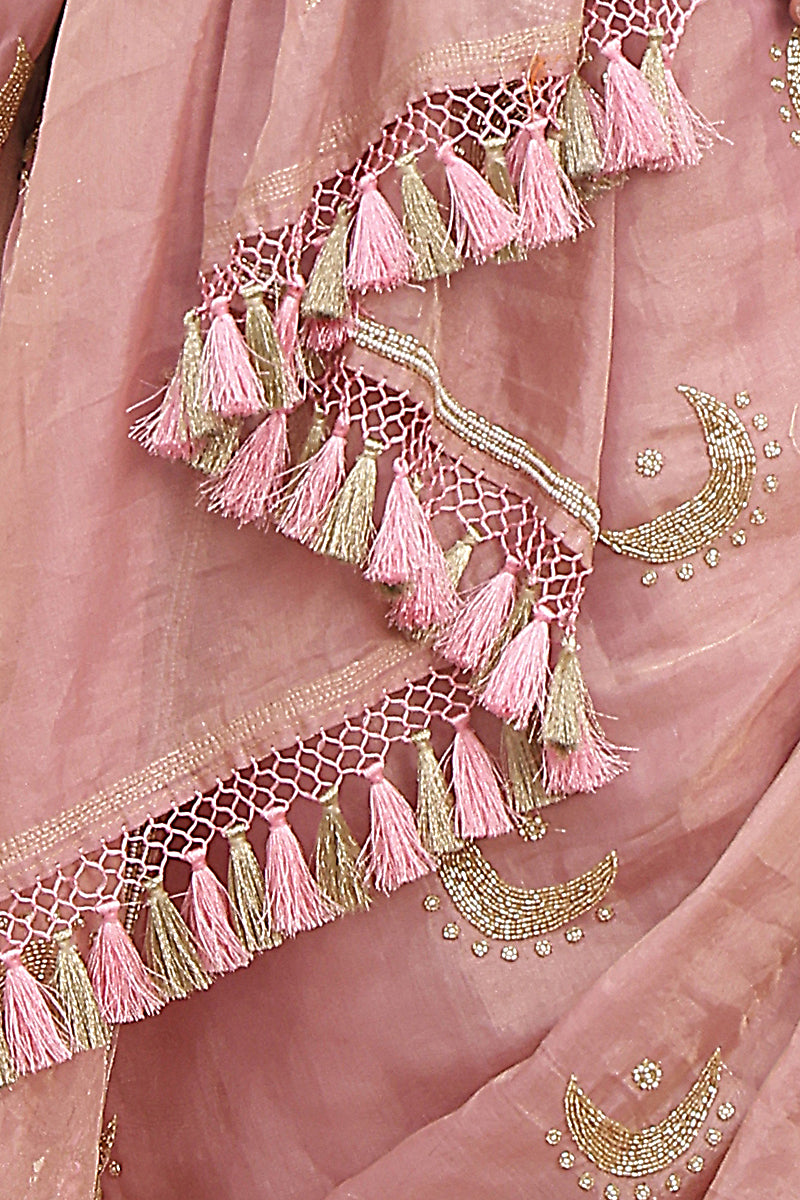 Blush Pink Pure Tissue Silk Hand work Banarasi Saree