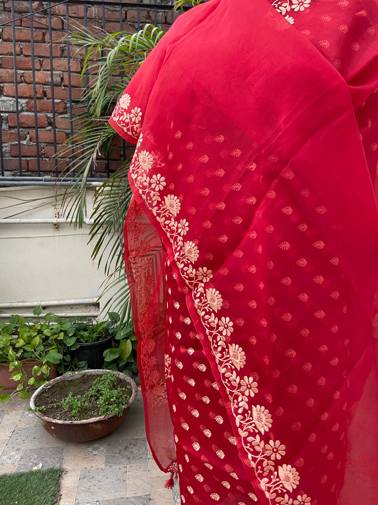 Red Pure Organza Handwoven Banarasi Suit