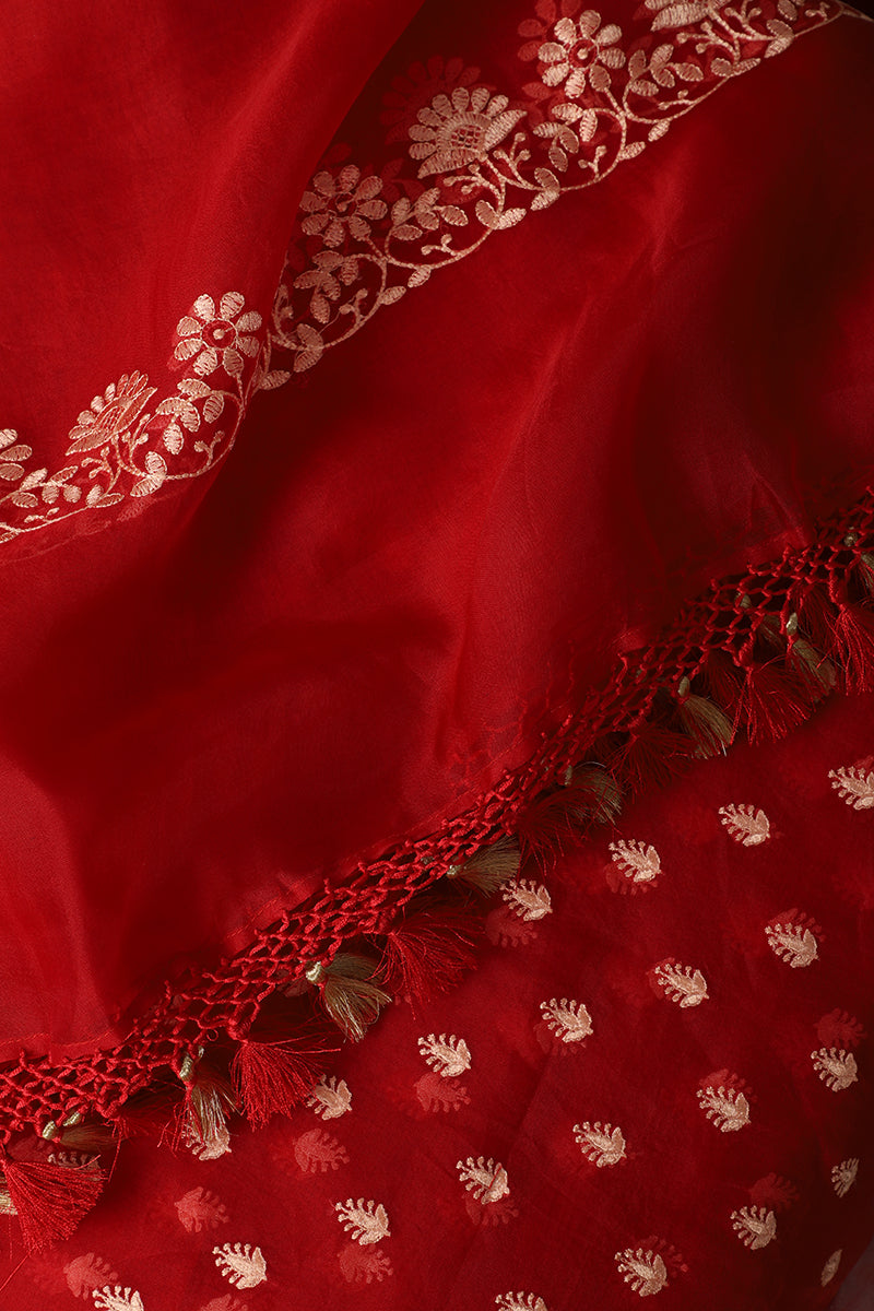 Red Pure Organza Handwoven Banarasi Suit